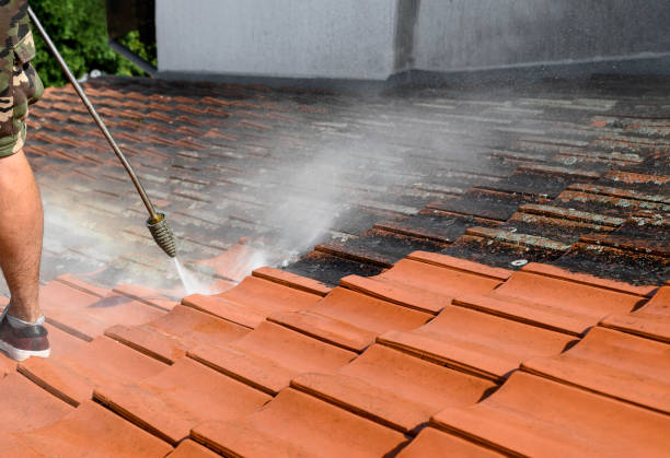 Best Affordable Pressure Washing  in Sidney, MT